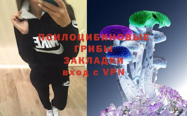ALPHA-PVP Армянск