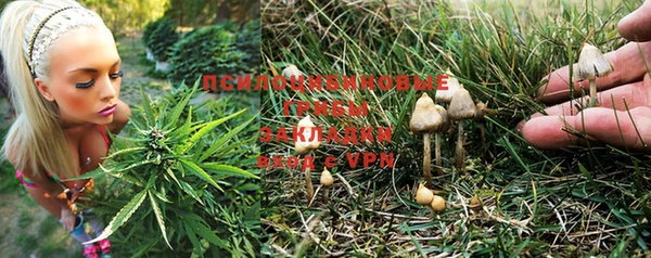 мдпв Балабаново