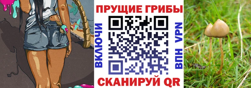 Галлюциногенные грибы ЛСД  omg вход  Беломорск  цена наркотик 